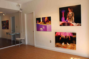 view of the show2